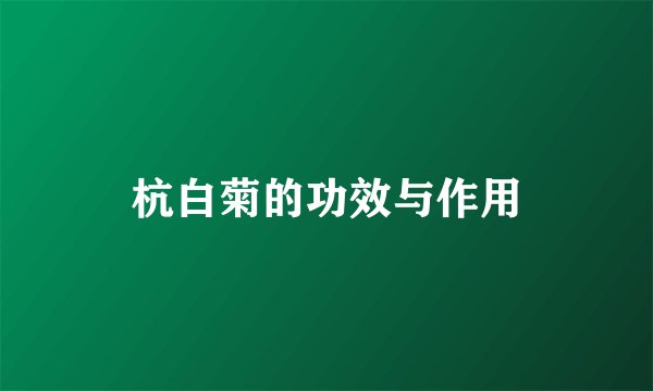 杭白菊的功效与作用