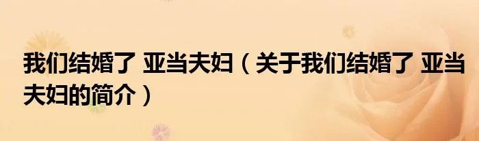 我们结婚了 亚当夫妇（关于我们结婚了 亚当夫妇的简介）