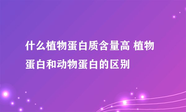 什么植物蛋白质含量高 植物蛋白和动物蛋白的区别