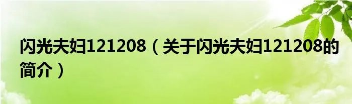 闪光夫妇121208（关于闪光夫妇121208的简介）