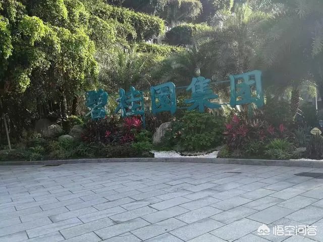 碧桂园有9000亿负债难道一点都不慌吗,你如何看?