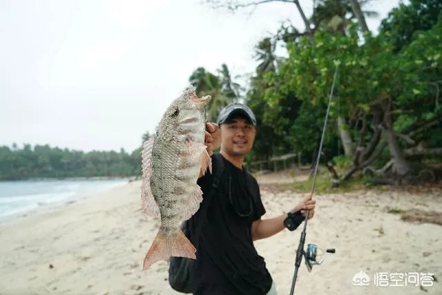 除了《游钓中国》,你还喜欢什么钓鱼类视频?