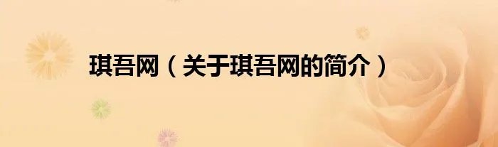 琪吾网（关于琪吾网的简介）
