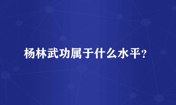 杨林武功属于什么水平？