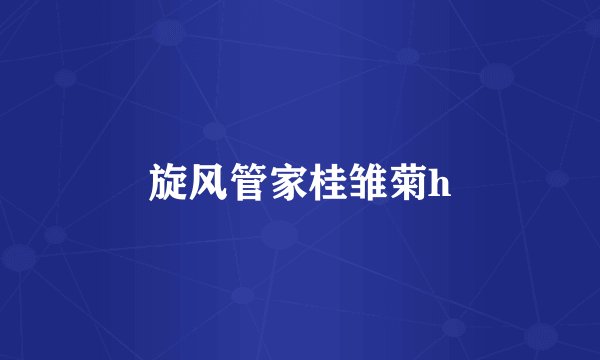 旋风管家桂雏菊h