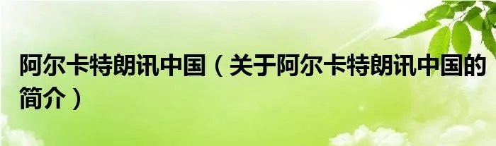 阿尔卡特朗讯中国（关于阿尔卡特朗讯中国的简介）