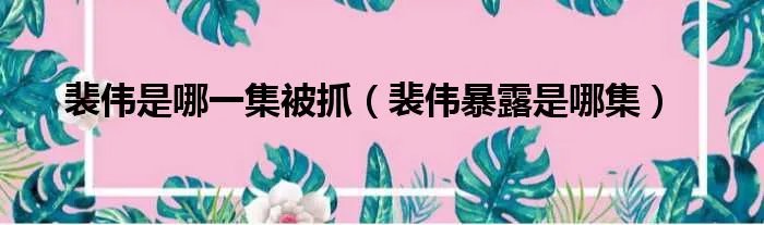 裴伟是哪一集被抓（裴伟暴露是哪集）