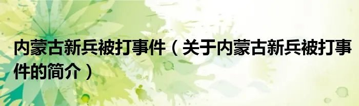 内蒙古新兵被打事件（关于内蒙古新兵被打事件的简介）