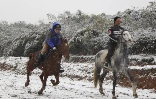 雪天骑马撞人逃逸将受到什么处罚?