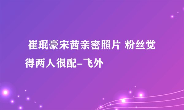  崔珉豪宋茜亲密照片 粉丝觉得两人很配