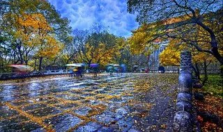 俗语一场秋雨一场寒有科学依据吗 秋雨与降温有什么关系