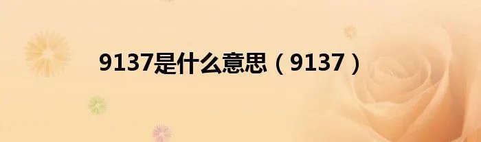 9137是什么意思（9137）