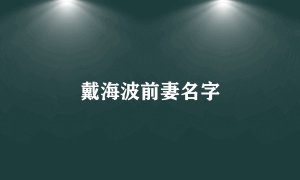 戴海波前妻名字