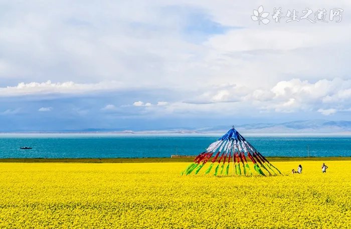 8元旅游团午餐 如何防范旅游陷阱