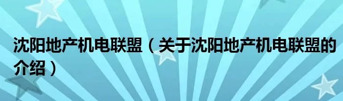 沈阳地产机电联盟（关于沈阳地产机电联盟的介绍）