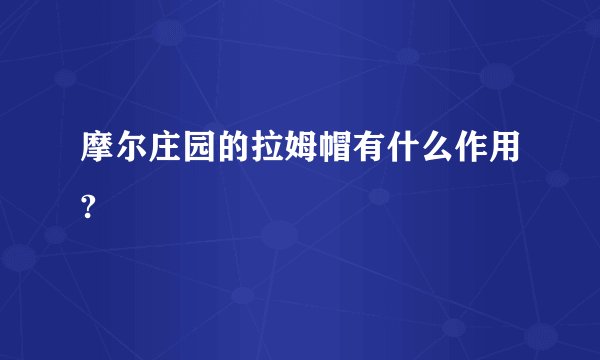 摩尔庄园的拉姆帽有什么作用?