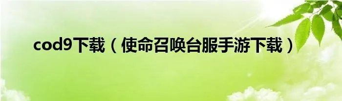 cod9下载（使命召唤台服手游下载）