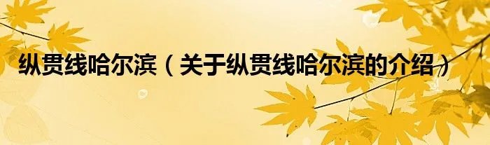 纵贯线哈尔滨（关于纵贯线哈尔滨的介绍）
