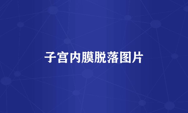 子宫内膜脱落图片