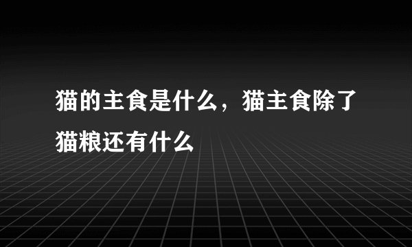 猫的主食是什么，猫主食除了猫粮还有什么