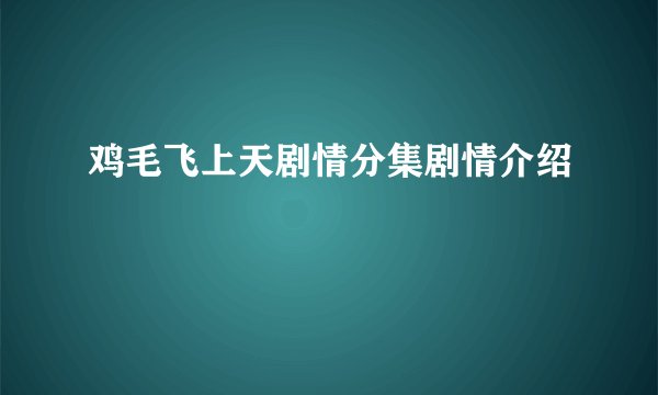 鸡毛飞上天剧情分集剧情介绍