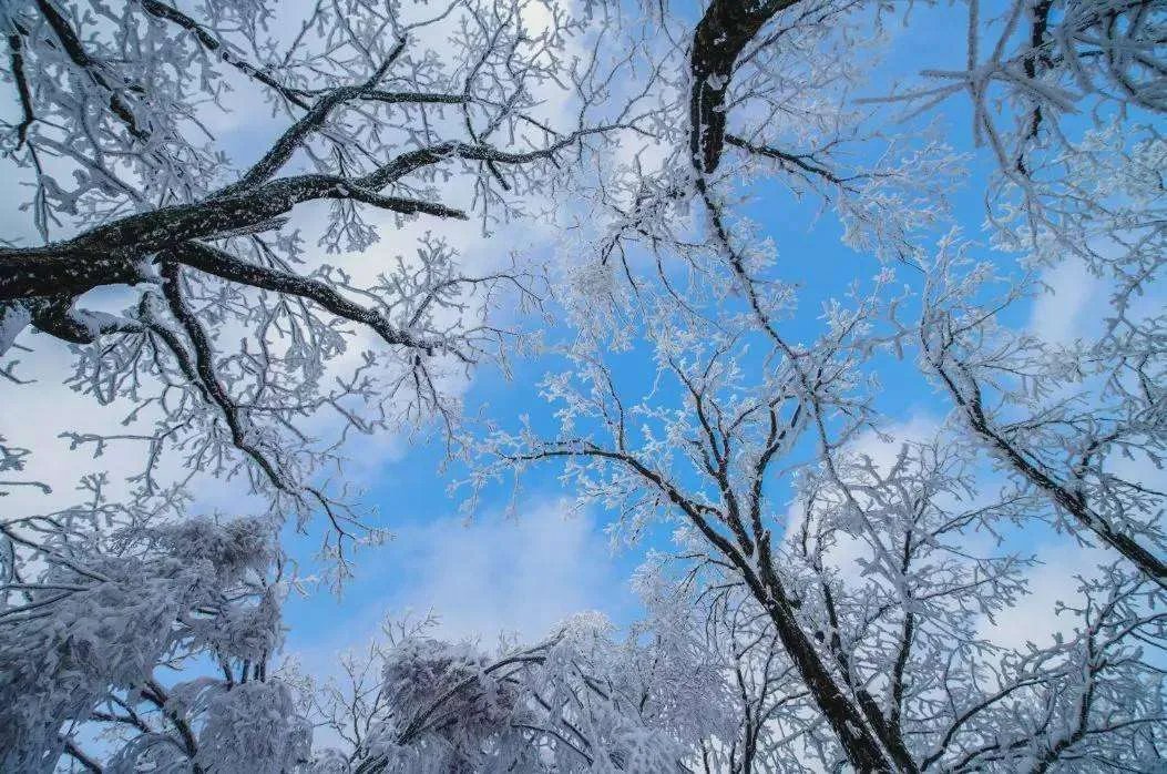 河南多景区飘起鹅毛大雪,是什么原因造成的?