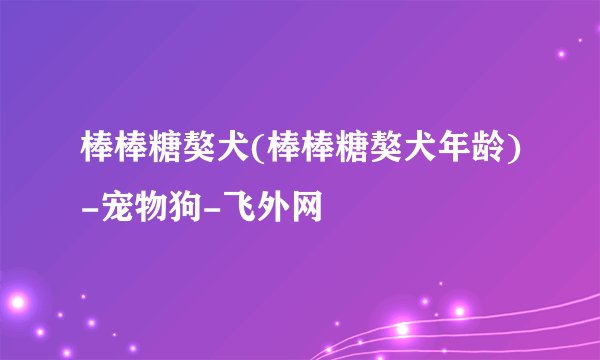 棒棒糖獒犬(棒棒糖獒犬年龄)-宠物狗-飞外网