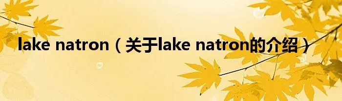 lake natron（关于lake natron的介绍）