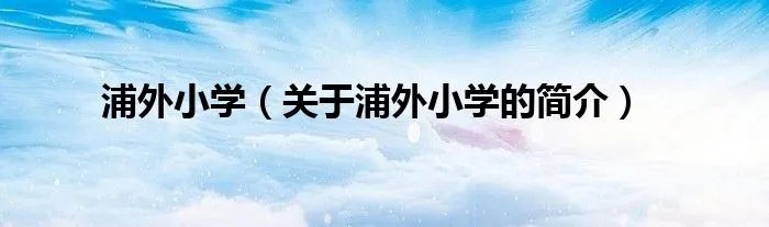 浦外小学（关于浦外小学的简介）