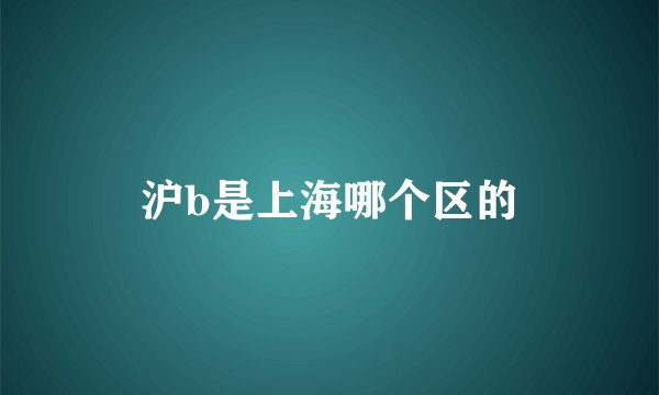 沪b是上海哪个区的