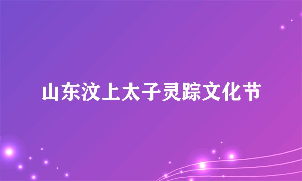 山东汶上太子灵踪文化节