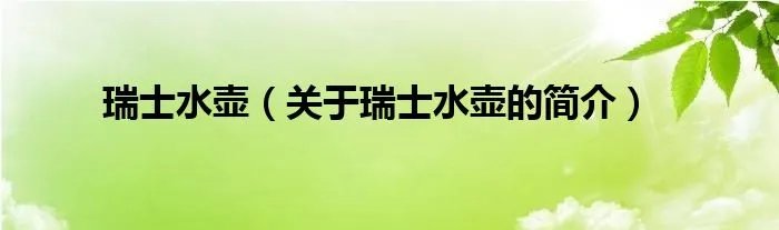 瑞士水壶（关于瑞士水壶的简介）
