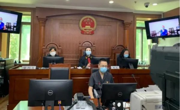 拾虎骨带回国获刑,我们该如何保护野生动物不受侵害呢?