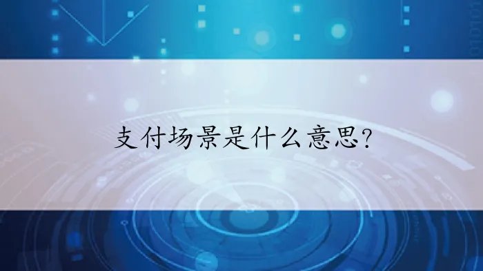 支付场景是什么意思？