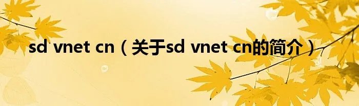 sd vnet cn（关于sd vnet cn的简介）