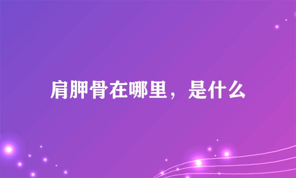 肩胛骨在哪里，是什么