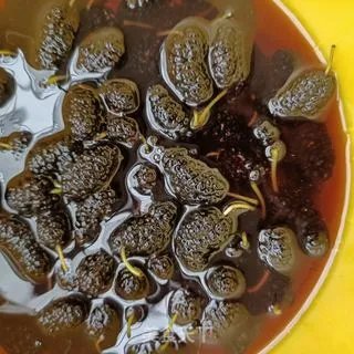 桑葚酒