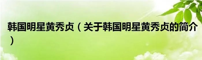 韩国明星黄秀贞（关于韩国明星黄秀贞的简介）