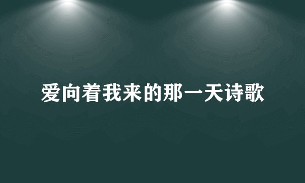 爱向着我来的那一天诗歌