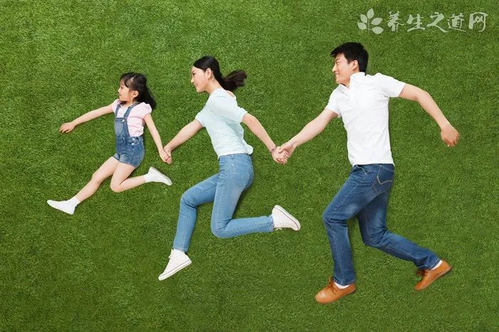 博美犬常见口腔和牙齿疾病