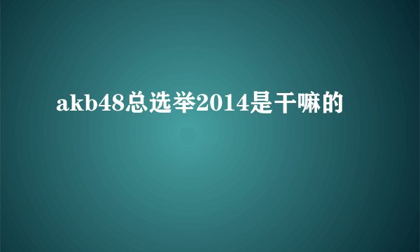 akb48总选举2014是干嘛的