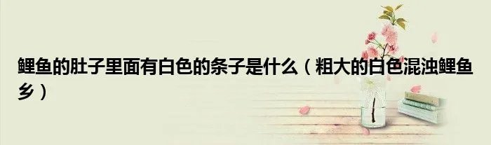 鲤鱼的肚子里面有白色的条子是什么(粗大的白色混浊鲤鱼乡)