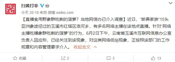无下限主播直播吃象群食物:相关部门介入调查