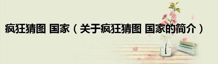 疯狂猜图 国家（关于疯狂猜图 国家的简介）