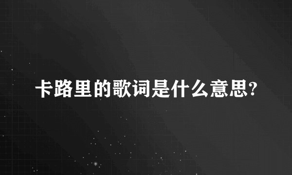 卡路里的歌词是什么意思?