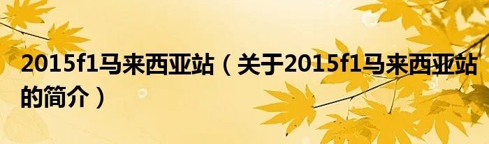 2015f1马来西亚站（关于2015f1马来西亚站的简介）