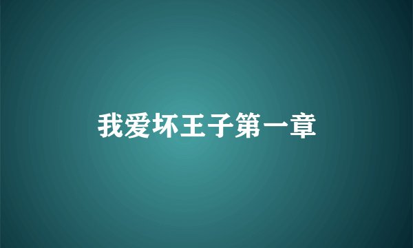 我爱坏王子第一章
