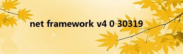 net framework v4 0 30319