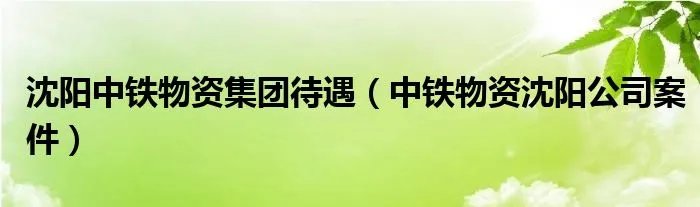 沈阳中铁物资集团待遇（中铁物资沈阳公司案件）