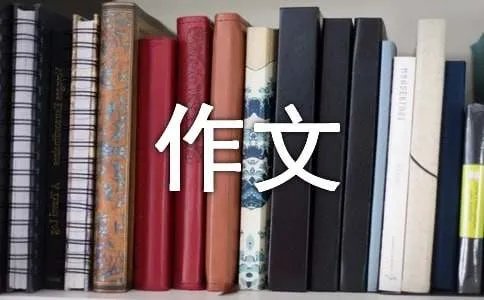 老鹰捉小鸡作文